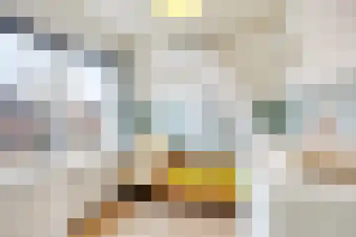 Buizenberg 25 Vianen NB thumbnail 39