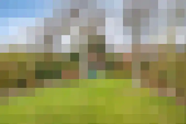 Buizenberg 25 Vianen NB thumbnail 46