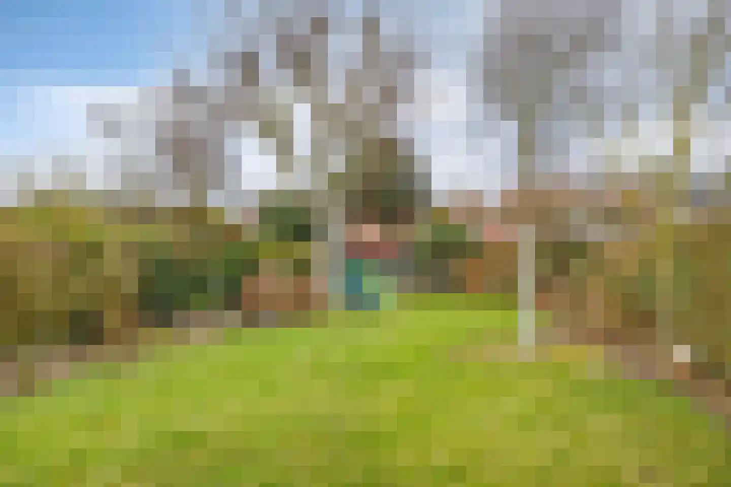 Buizenberg 25 Vianen NB thumbnail 46