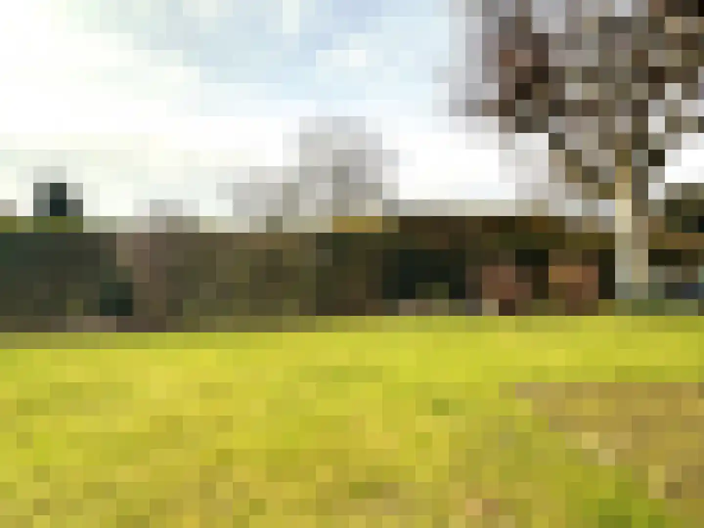 Buizenberg 25 Vianen NB thumbnail 47