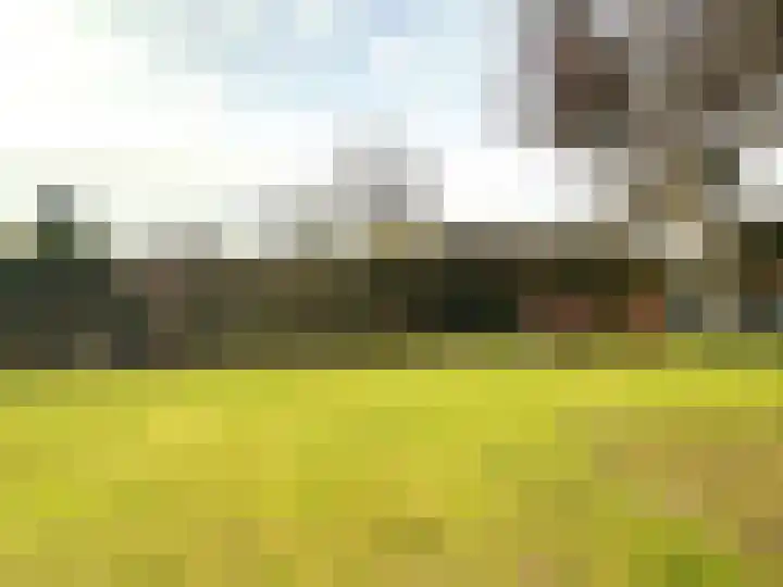 Buizenberg 25 Vianen NB thumbnail 47