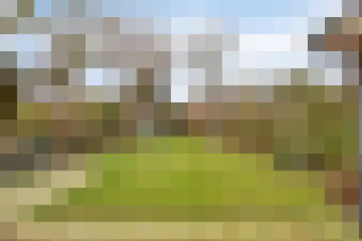 Buizenberg 25 Vianen NB thumbnail 48