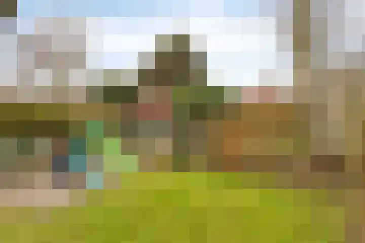 Buizenberg 25 Vianen NB thumbnail 50