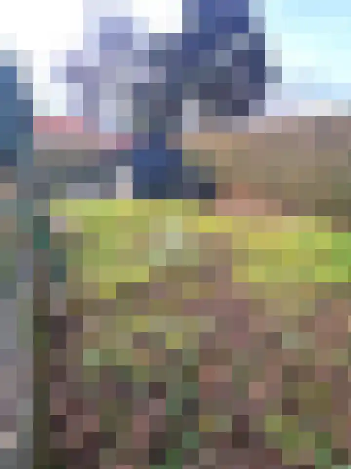 Buizenberg 25 Vianen NB thumbnail 51
