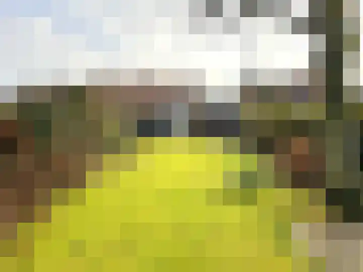 Buizenberg 25 Vianen NB thumbnail 52