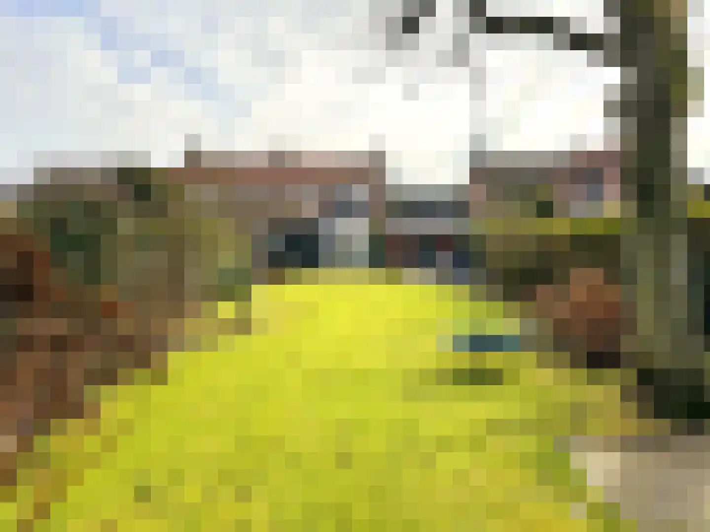 Buizenberg 25 Vianen NB thumbnail 52