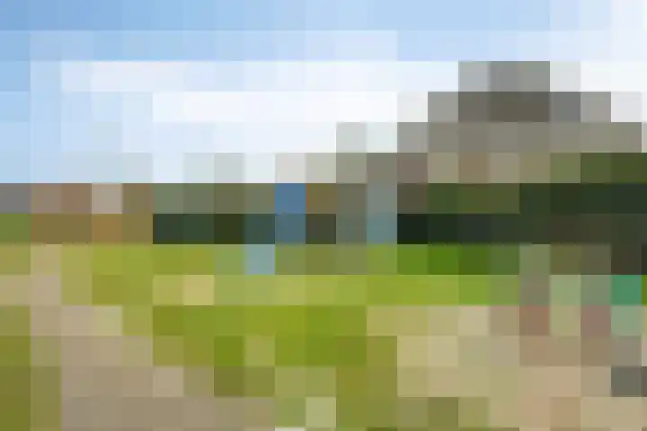 Buizenberg 25 Vianen NB thumbnail 56
