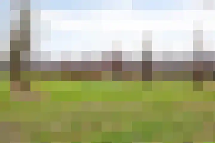 Buizenberg 25 Vianen NB thumbnail 57