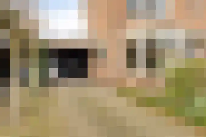 Buizenberg 25 Vianen NB thumbnail 7