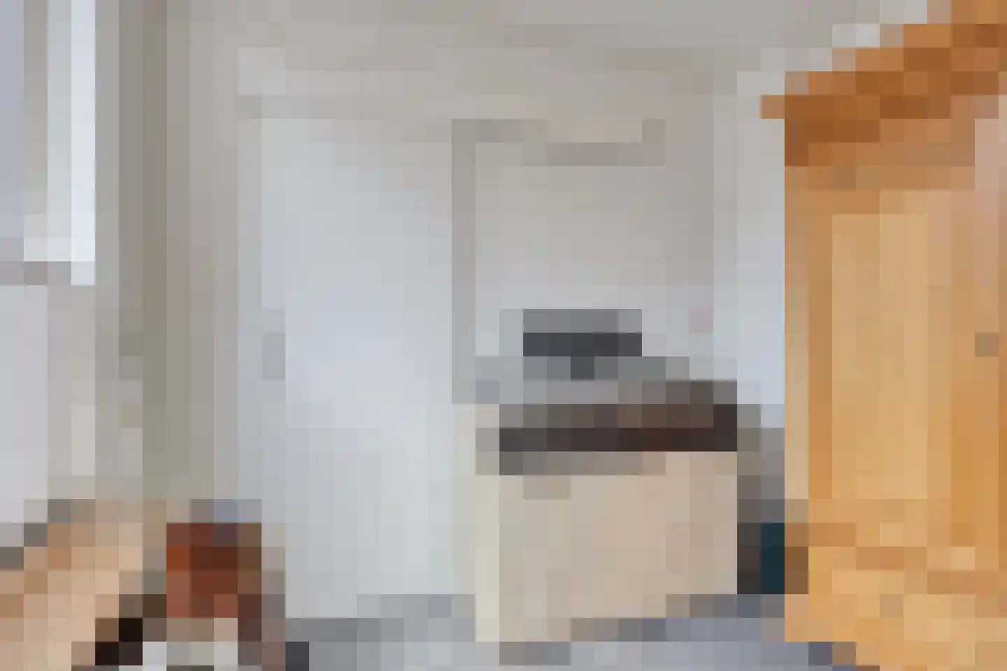 Buizenberg 5 Vianen NB thumbnail 11