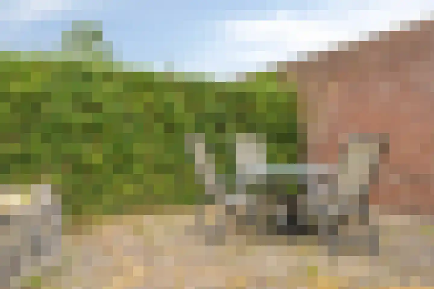 Buizenberg 5 Vianen NB thumbnail 18
