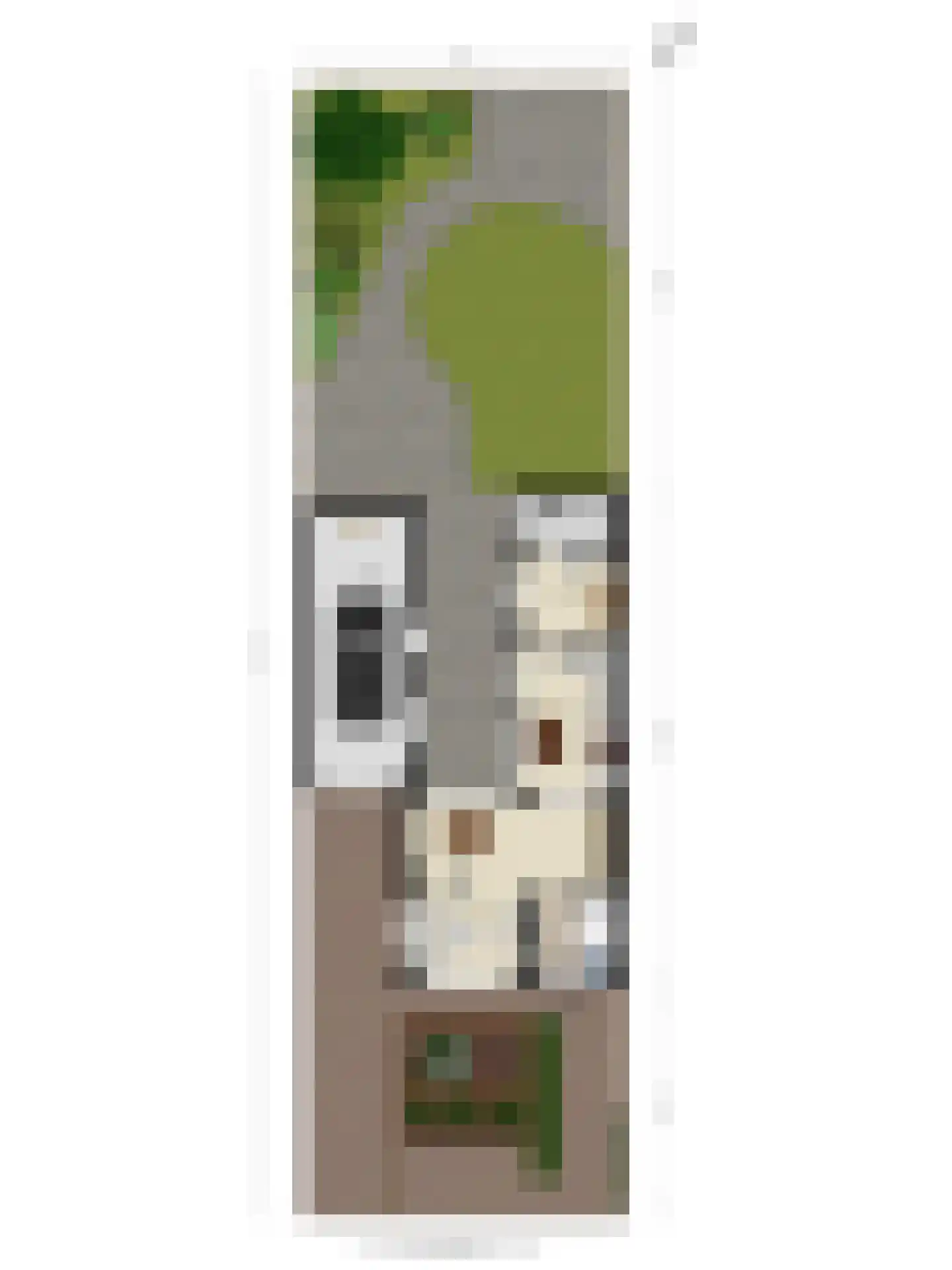 Buizenberg 5 Vianen NB thumbnail 20