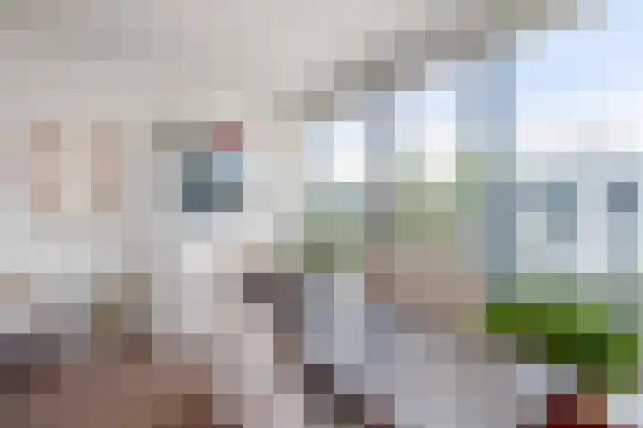 Buizengat 13 Vlaardingen thumbnail 22