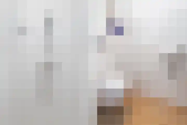 Buizengat 13 Vlaardingen thumbnail 36