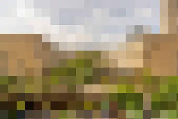 Buizenpark 114 Rotterdam thumbnail 14