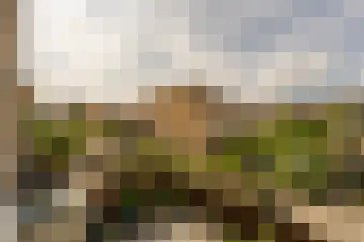 Buizenpark 114 Rotterdam thumbnail 15