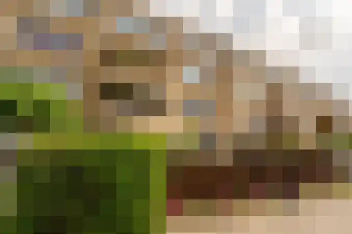 Buizenpark 114 Rotterdam thumbnail 25