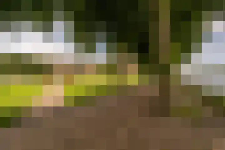 Buizenpark 114 Rotterdam thumbnail 26