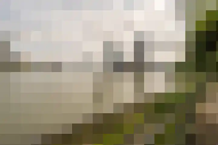 Buizenpark 114 Rotterdam thumbnail 28