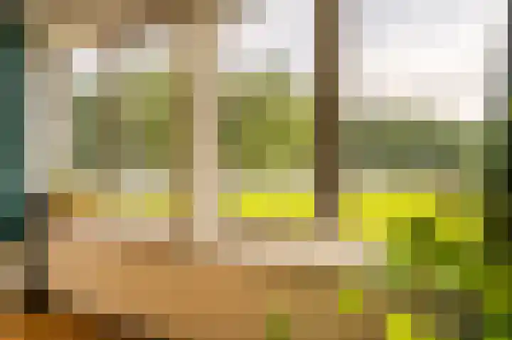 Buizenpark 114 Rotterdam thumbnail 8