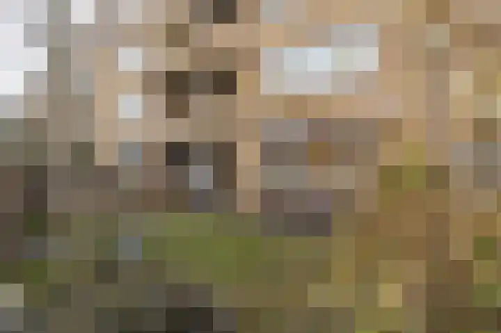 Buizenpark 46 Rotterdam thumbnail 22