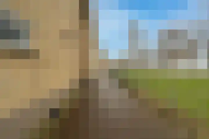 Buizenpark 46 Rotterdam thumbnail 25