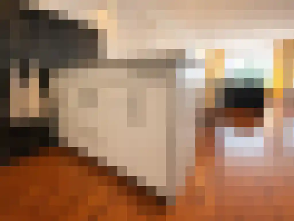 Buizenwerf 13 Rotterdam thumbnail 4