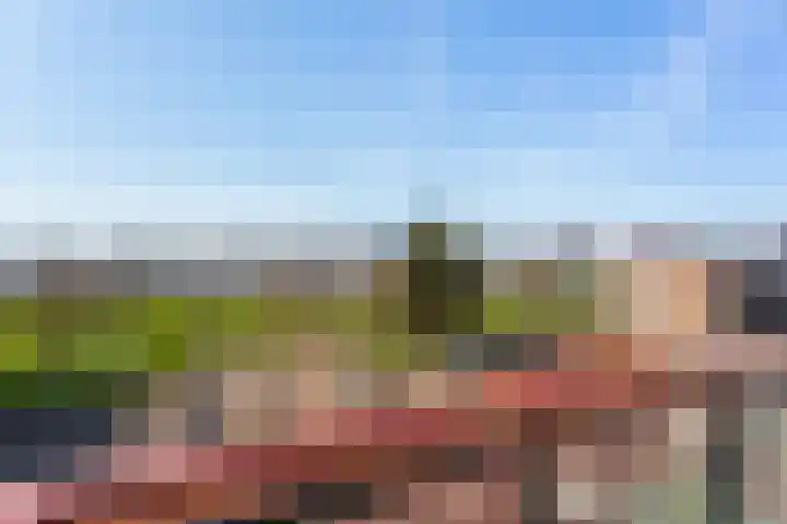 Buizenwerf 137 Rotterdam thumbnail 10
