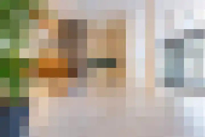 Buizenwerf 137 Rotterdam thumbnail 29