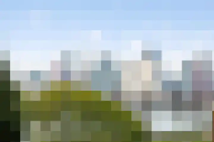 Buizenwerf 141 Rotterdam thumbnail 10