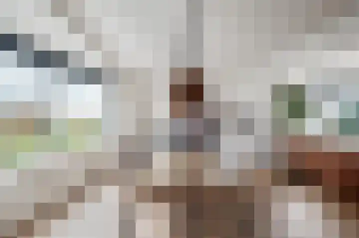 Buizenwerf 141 Rotterdam thumbnail 17