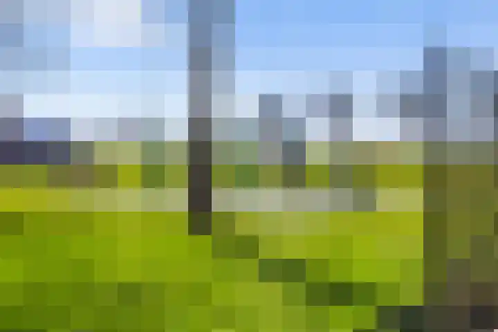 Buizenwerf 141 Rotterdam thumbnail 42