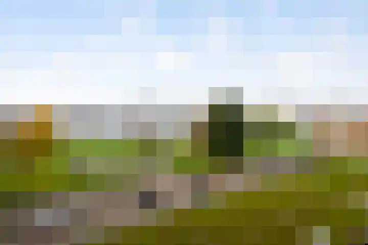Buizenwerf 141 Rotterdam thumbnail 8