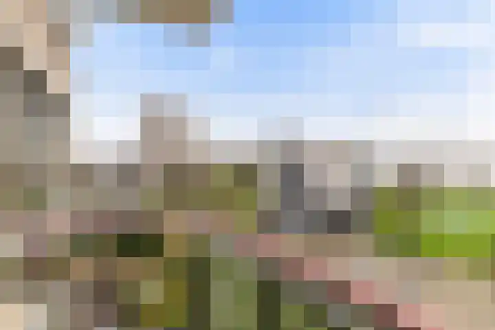 Buizenwerf 151 Rotterdam thumbnail 11