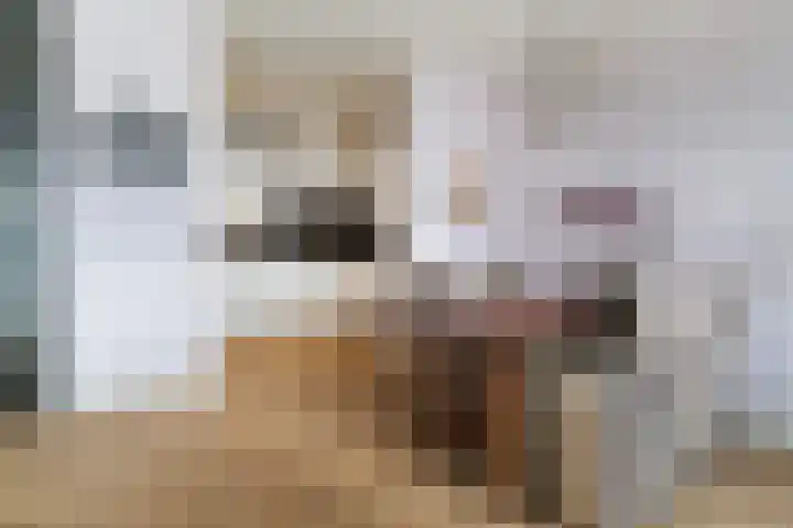 Buizenwerf 151 Rotterdam thumbnail 24