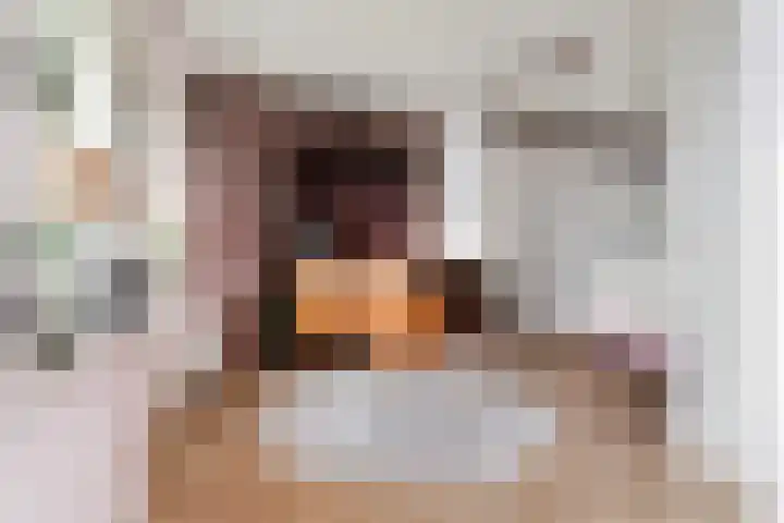 Buizenwerf 151 Rotterdam thumbnail 6