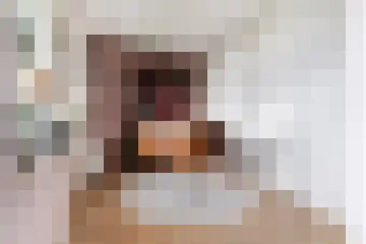 Buizenwerf 151 Rotterdam thumbnail 7