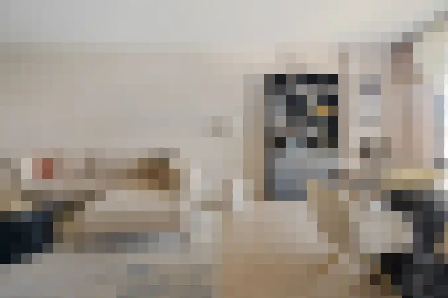 Buizenwerf 161 Rotterdam thumbnail 19