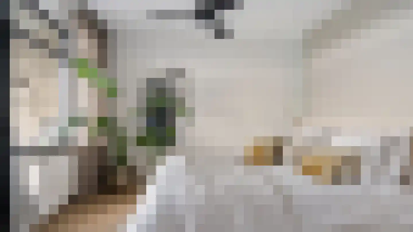 Buizenwerf 161 Rotterdam thumbnail 32
