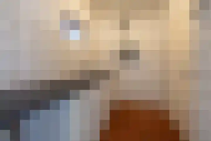 Buizenwerf 165 Rotterdam thumbnail 12