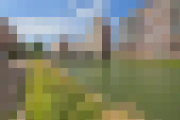 Buizenwerf 165 Rotterdam thumbnail 22