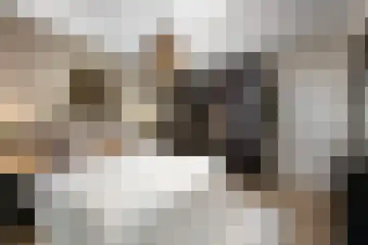 Buizenwerf 241 Rotterdam thumbnail 17