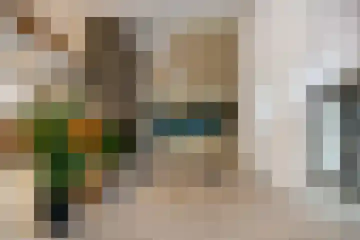 Buizenwerf 241 Rotterdam thumbnail 28