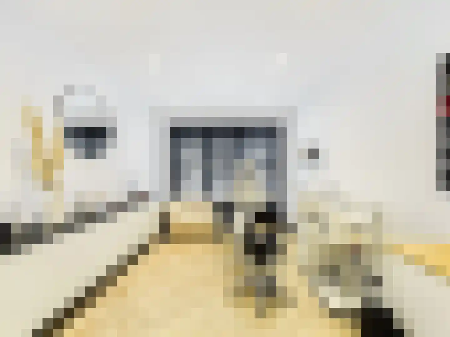 Buizerd 11 Terneuzen thumbnail 23