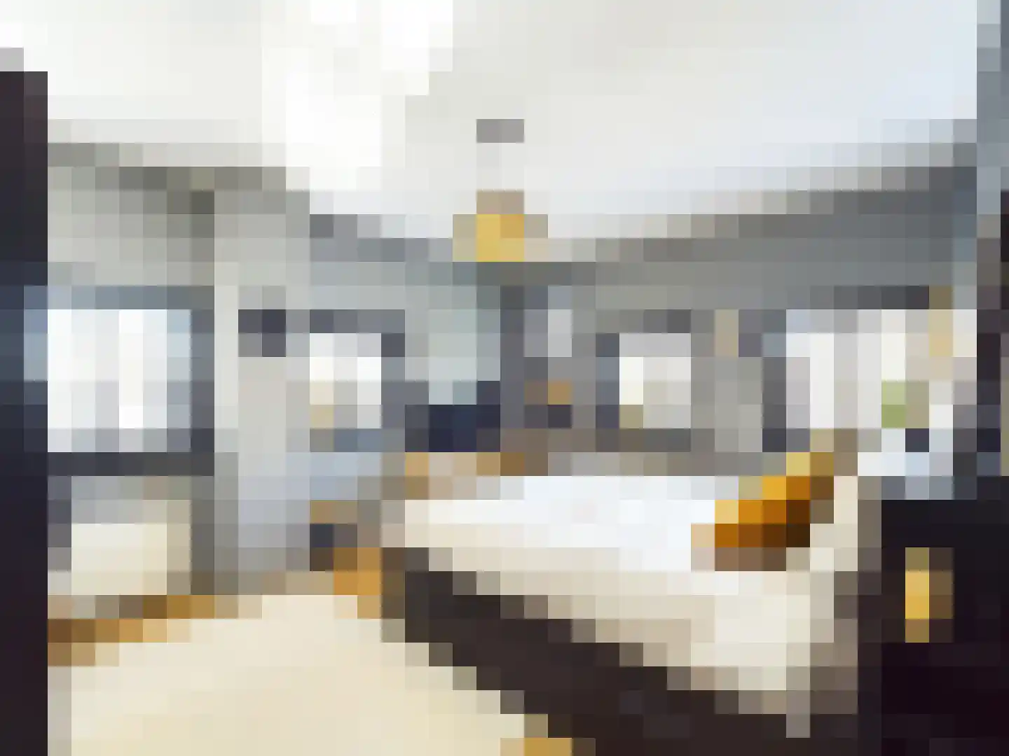 Buizerd 11 Terneuzen thumbnail 28