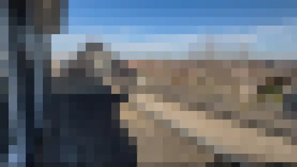 Buizerd 11 Terneuzen thumbnail 43