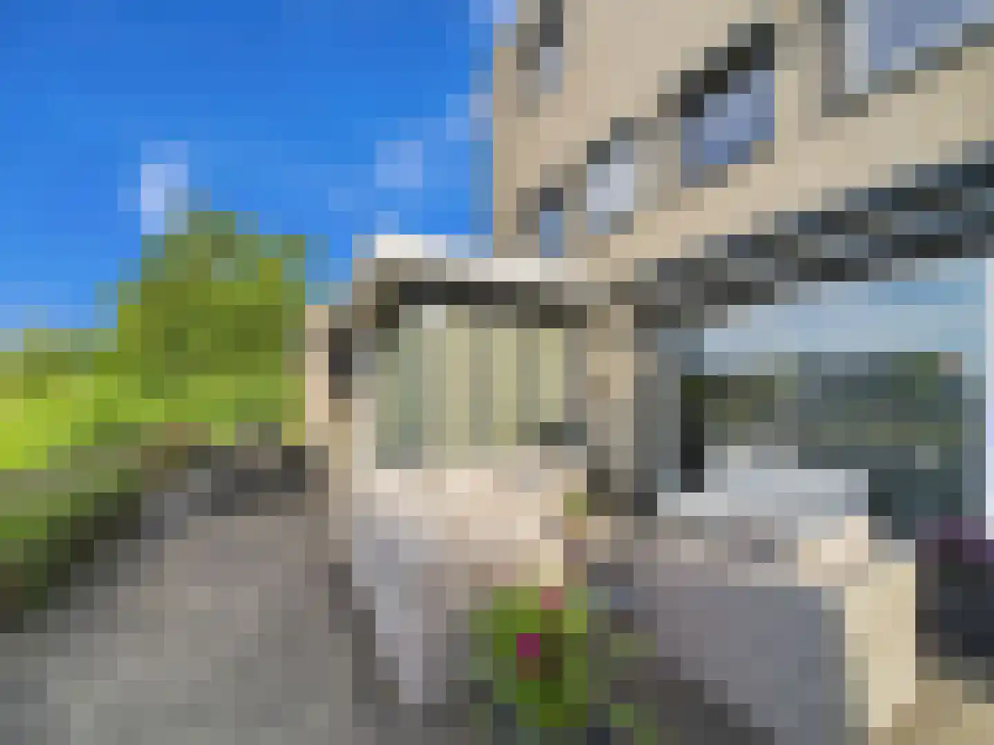 Buizerd 11 Terneuzen thumbnail 50