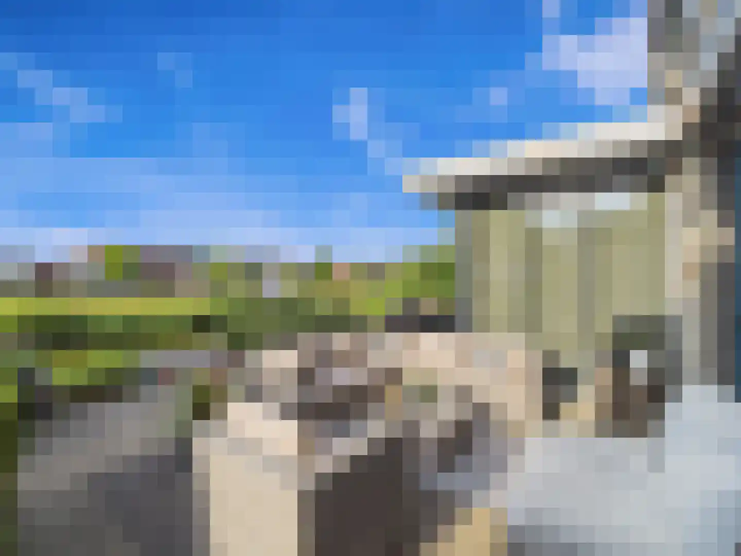 Buizerd 11 Terneuzen thumbnail 51