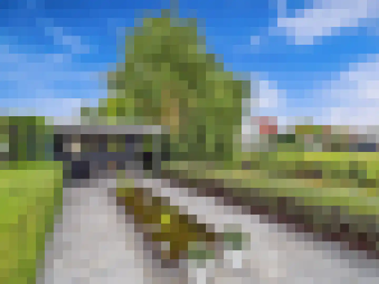 Buizerd 11 Terneuzen thumbnail 53