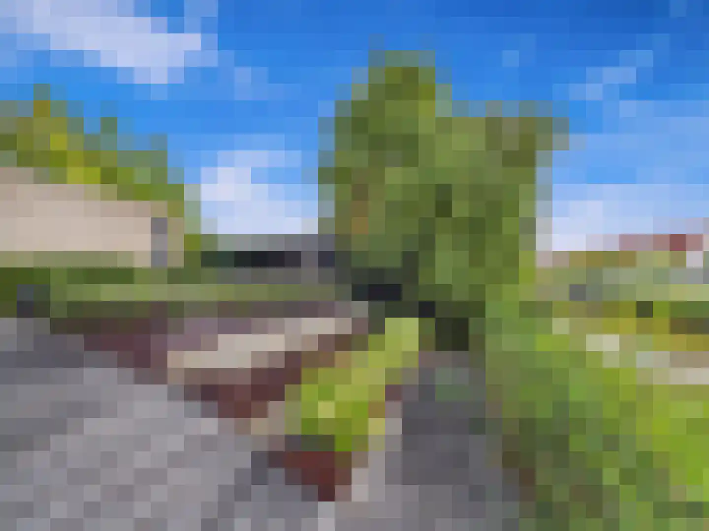 Buizerd 11 Terneuzen thumbnail 57